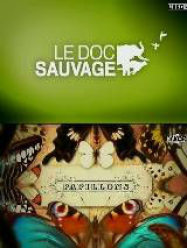 Le Doc Sauvage – Papillons