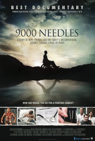 9000 Needles