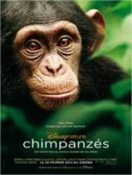 ChimpanzÃ©s