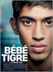 BÃ©bÃ© Tigre