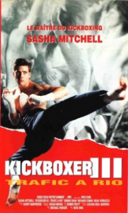 Kickboxer 3: Traffic Ã  Rio