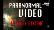 Paranormal video – Le chien fantÃ´me