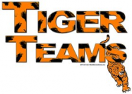 Tiger Team